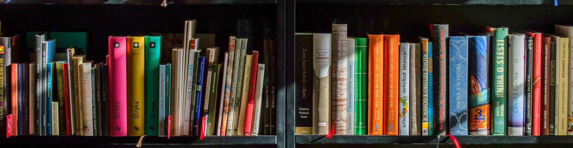 Vibrant collection of books on shelves for reading, research, and education.